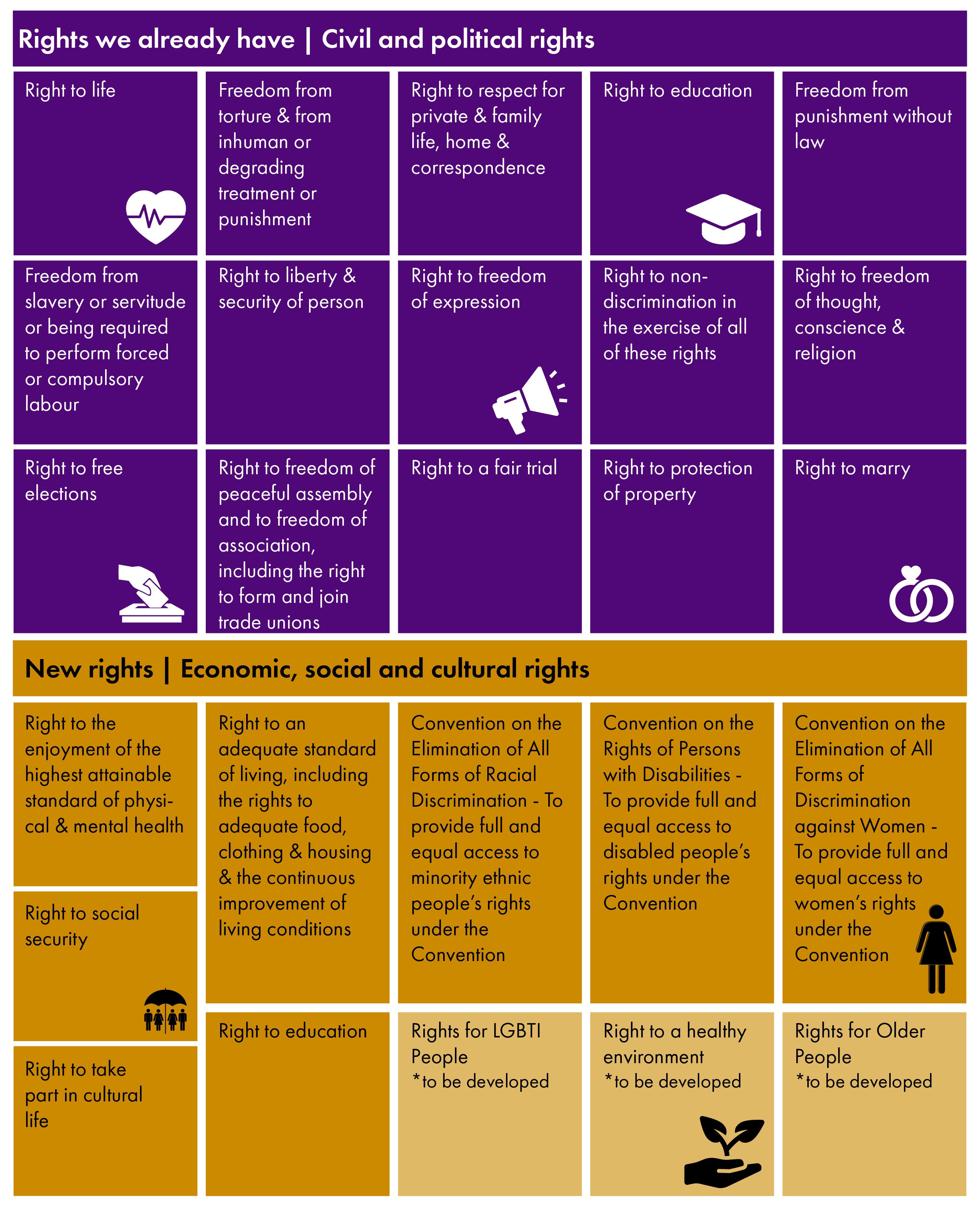 The civil and political rights we have under the Human Rights Act, the economic, social and cultural rights proposed for incorporation, and where there is some overlap.